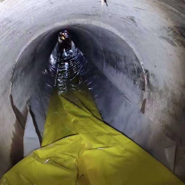 平昌管道光固化修复
